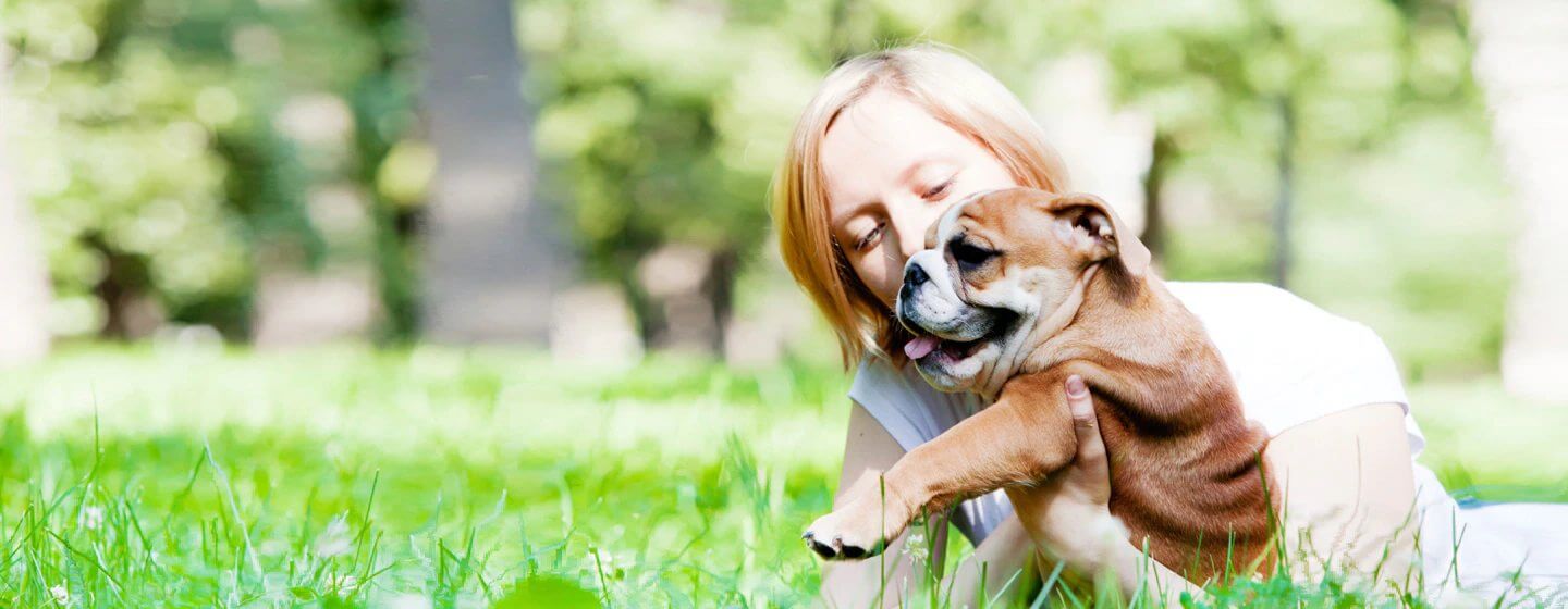 How Can I Bring My Dog To New Zealand